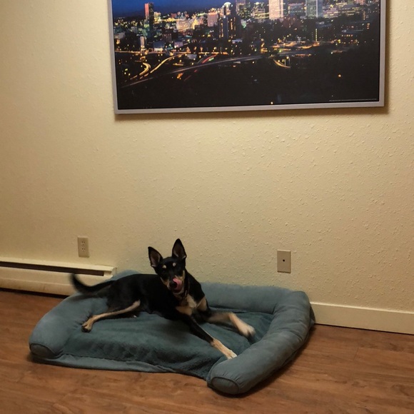 Meet your Posher, Jillian - Picture 1 of 1